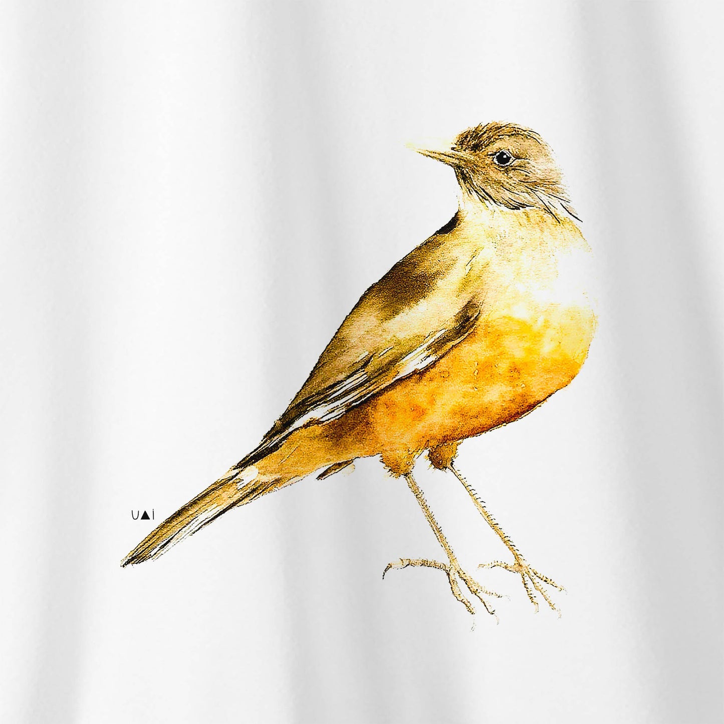Camiseta Amazônia SABIÁ - BRANCO - cód 10505