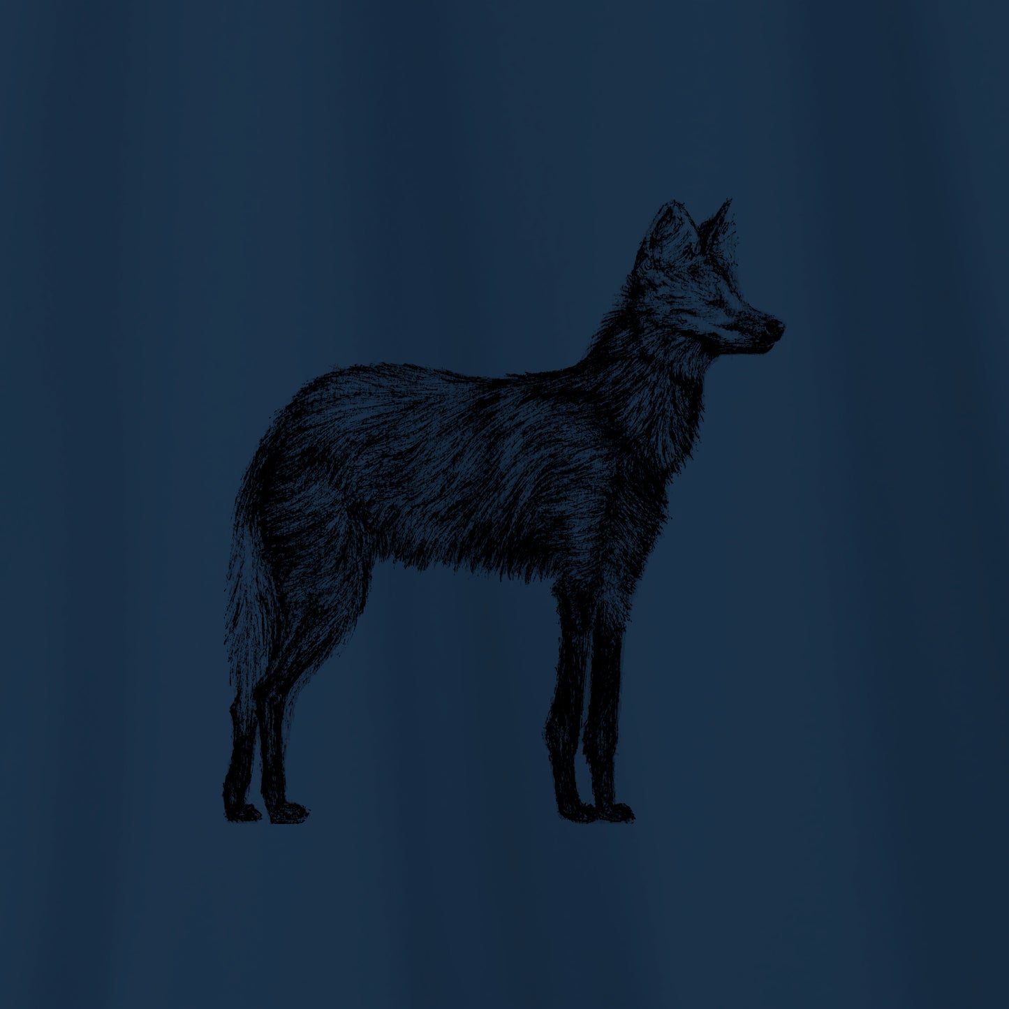 Camiseta Amazônia CHAPADA DOS VEADEIROS - LOBO GUARÁ - AZUL ESCURO - cód 10005