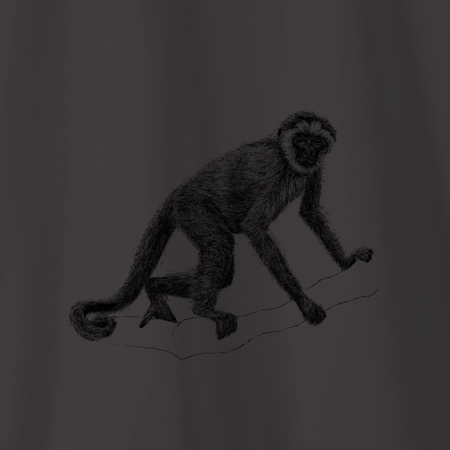 Camiseta Amazônia CAPARAÓ - MURIQUI - CINZA CHUMBO - cód 10007