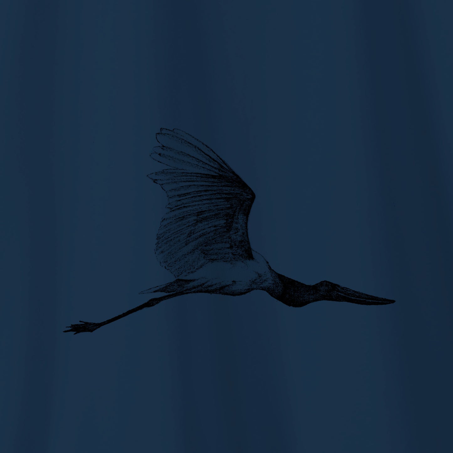 Camiseta Amazônia PANTANAL - TUIUIÚ - AZUL MARINHO - cód 10009