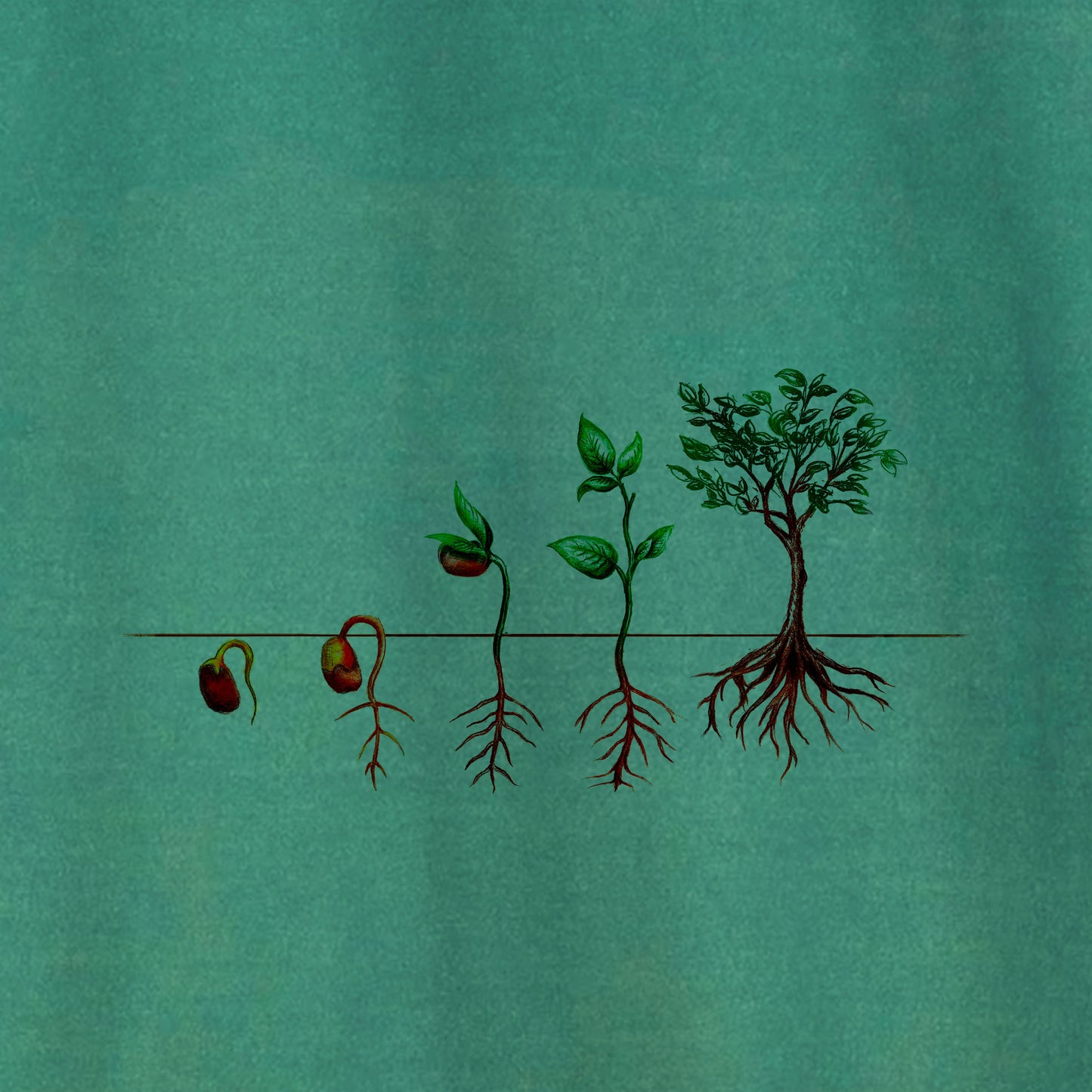 Camiseta Amazônia ISC PLANTE UMA SEMENTE – VERDE ESTONADO - cód 1168