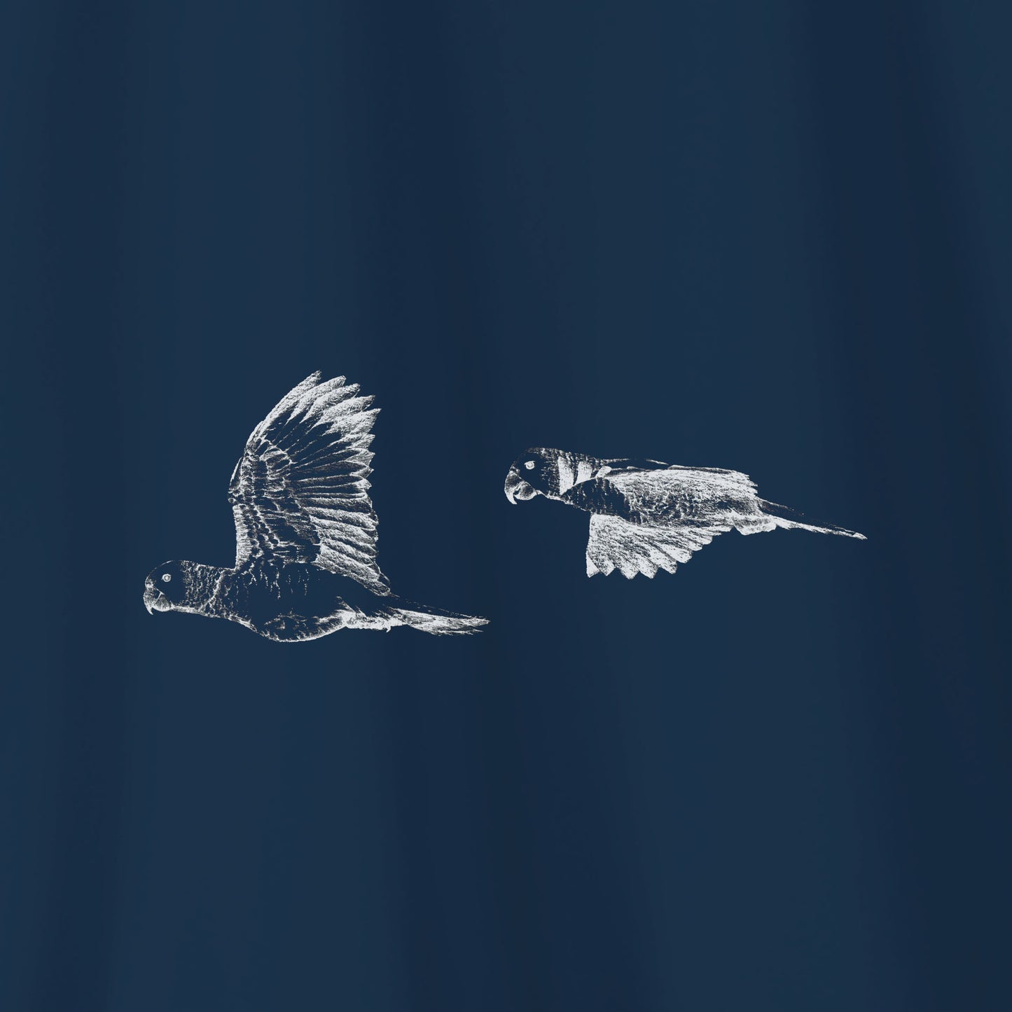 Camiseta Amazônia ONÇARARA MARITACAS - AZUL ESCURO - cód 2061