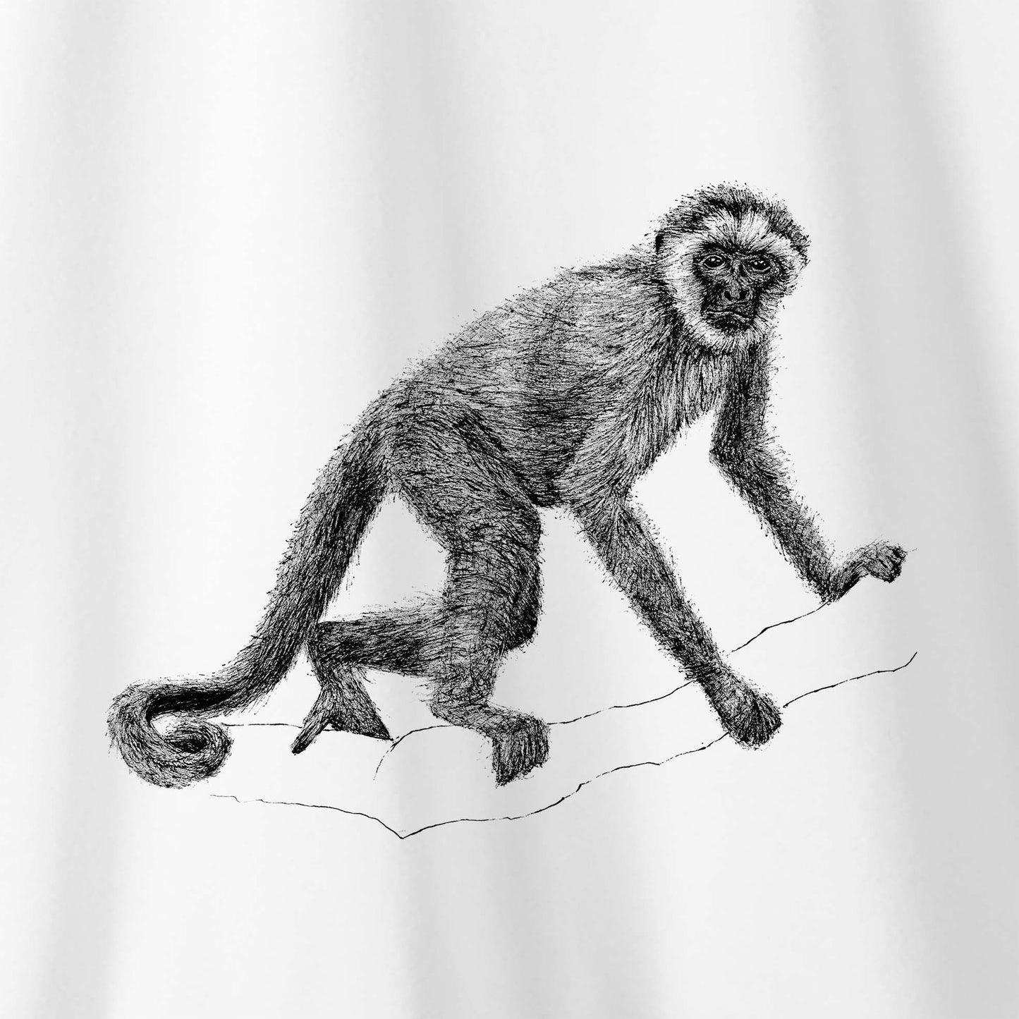 Camiseta Amazônia CAPARAÓ - MURIQUI - BRANCO - cód 10553