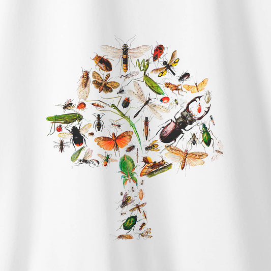 Camiseta Amazônia ENTOMOLOGIA - BRANCO - cód 0538