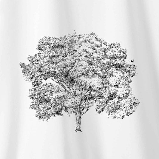 Camiseta Amazônia PAU-BRASIL - BRANCO - cód 10506