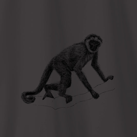 Camiseta Amazônia CAPARAÓ - MURIQUI - CINZA CHUMBO - cód 10007