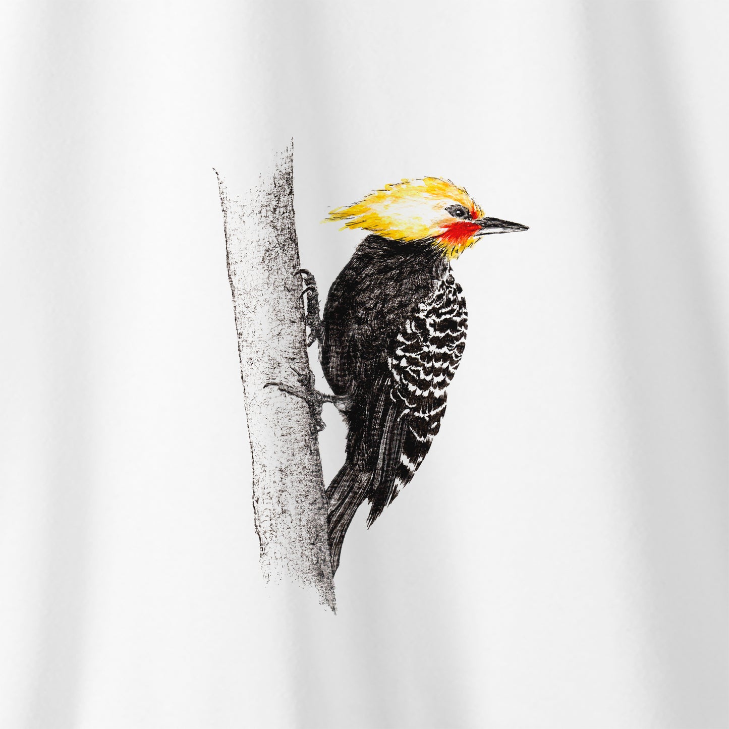 Camiseta Amazônia PICA-PAU - BRANCO - cód 2145
