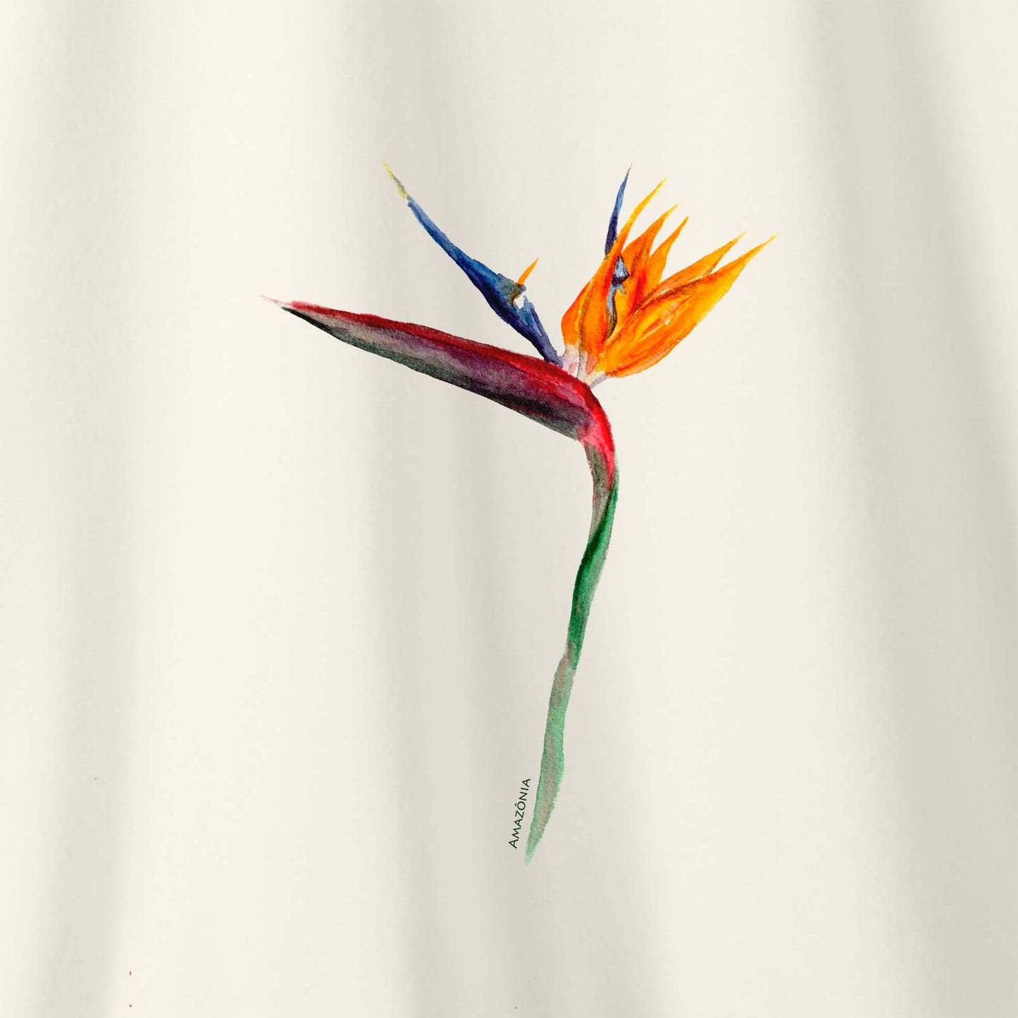 Camiseta Amazônia STRELITZIA – OFF WHITE - cód 2210