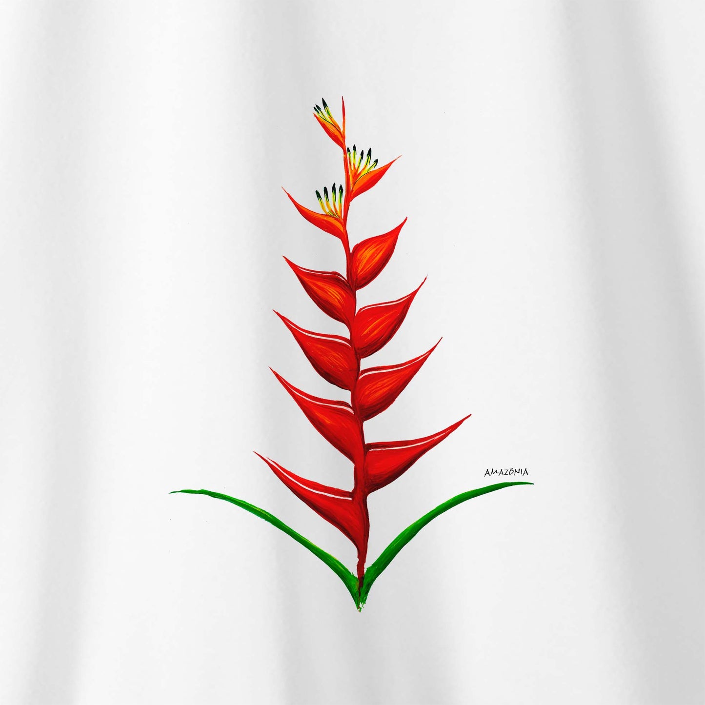 Camiseta Amazônia HELICÔNIA - BRANCO - cód 2211