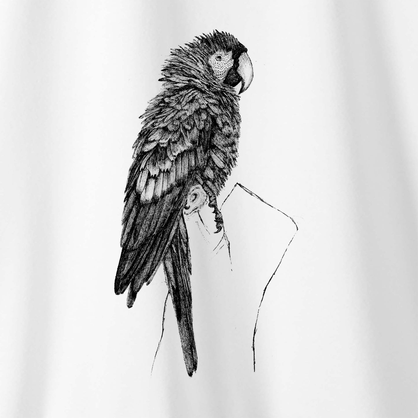Camiseta Amazônia CHAPADA DOS GUIMARÃES - ARARA VERMELHA - BRANCO - cód 10013