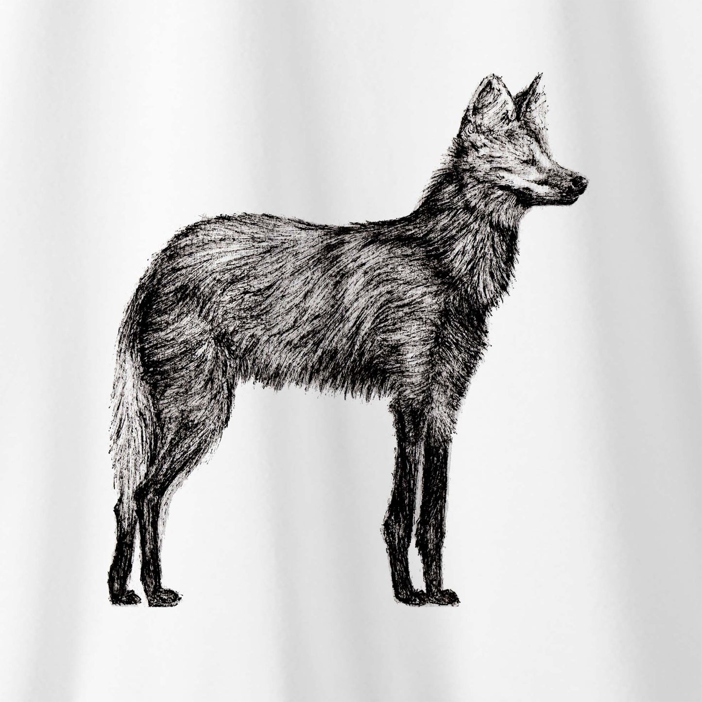Camiseta Amazônia CHAPADA DOS VEADEIROS - LOBO GUARÁ - BRANCO - cód 10005