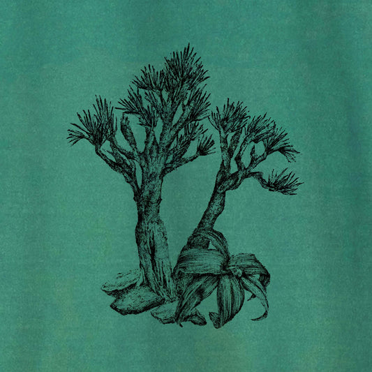 Camiseta Amazônia SERRA DO CIPÓ - VELOZEAS GIGANTES - VERDE ESTONADO - cód 10011