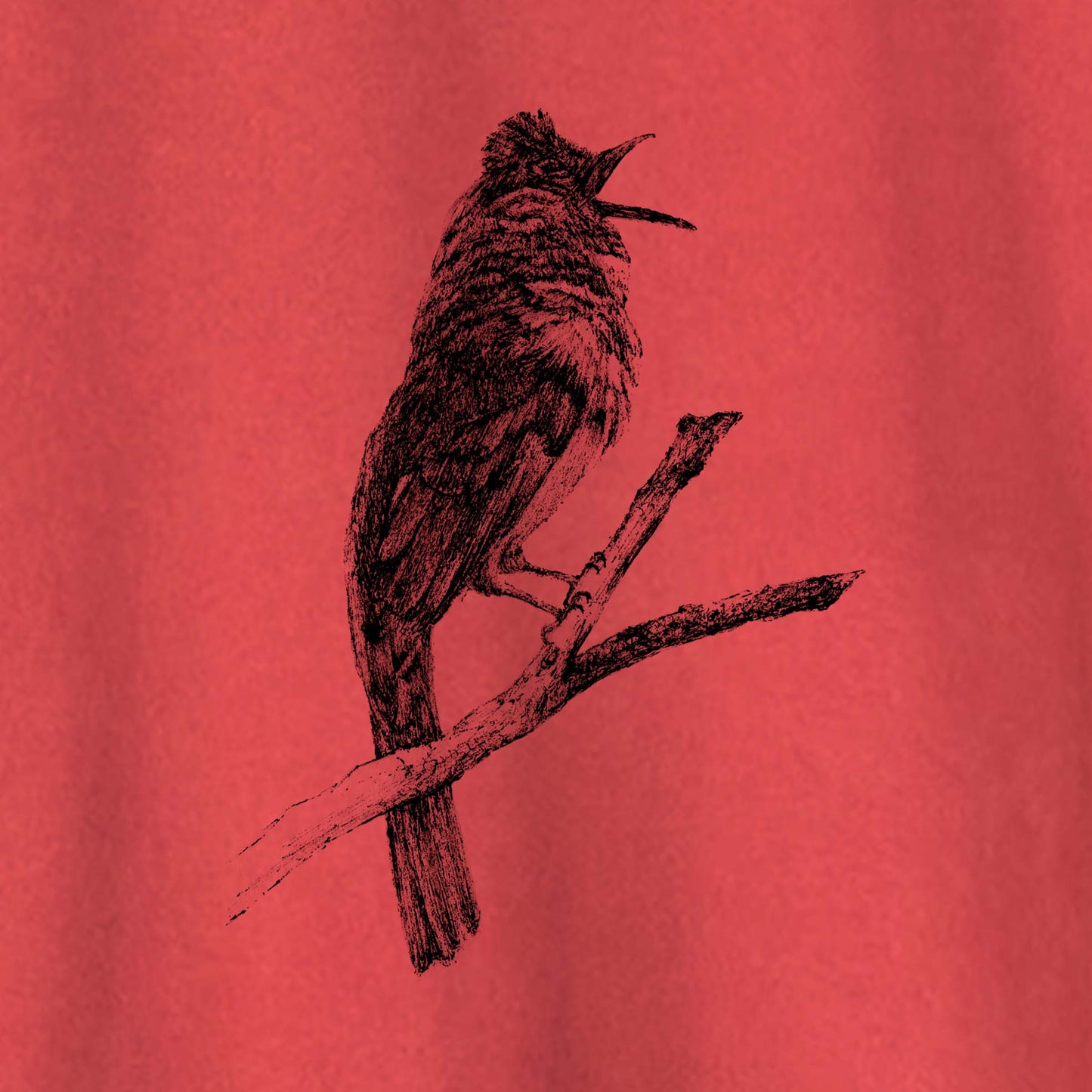 Camiseta Amazônia DESCOBRIMENTO - CRICRIÓ - VERMELHO ESTONADO - cód 10002