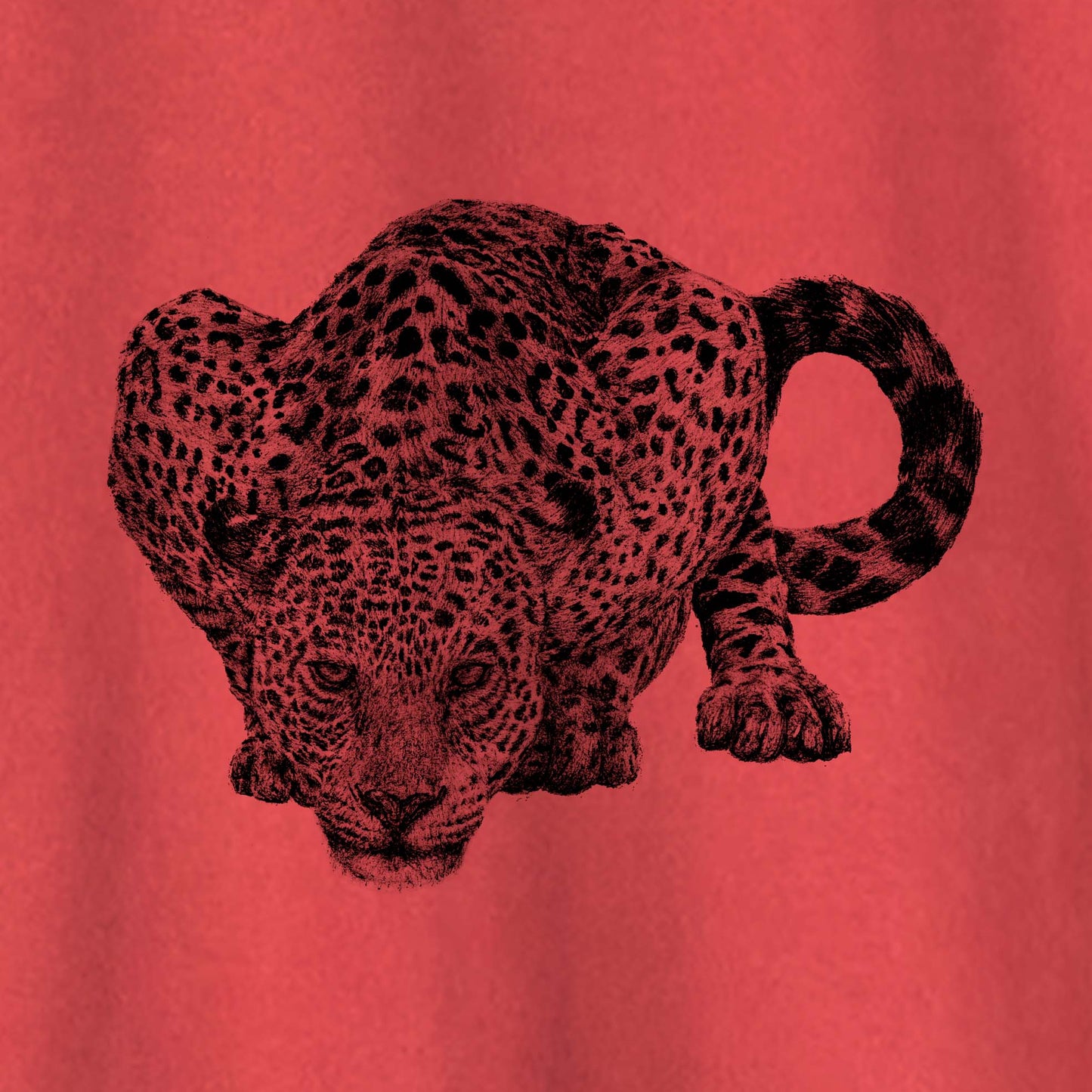Camiseta Amazônia FOZ DO IGUAÇÚ - ONÇA PINTADA - VERMELHO ESTONADO - cód 10010